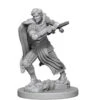 D&D Minis: Aasimar Fighter (Male) (Unpainted / WV6)