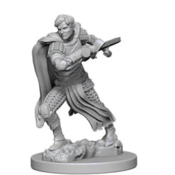 D&D Minis: Aasimar Fighter (Male) (Unpainted / WV6)