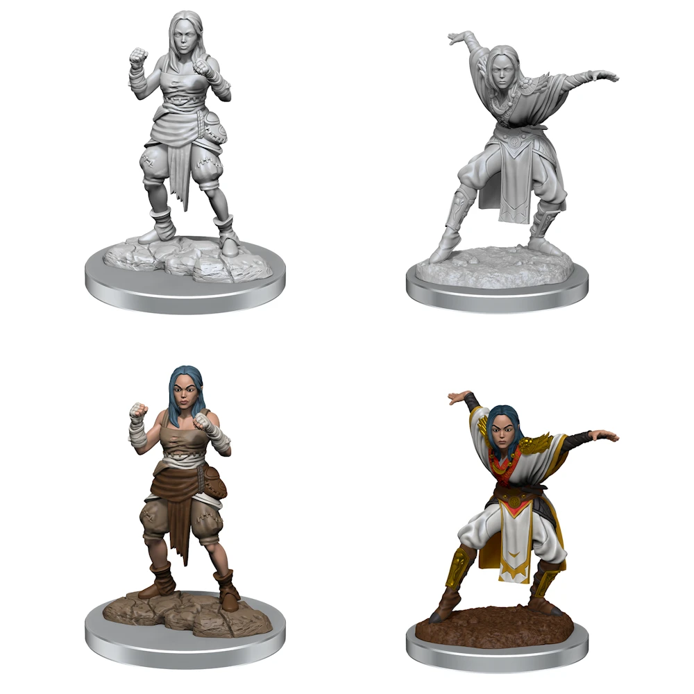 Pathfinder Minis: Half-Elf Monk Female Pathfinder Minis: Half-Elf Monk Female -Blackknight Games Sales halfelfmonkfemale