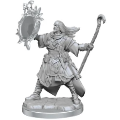 Pathfinder Minis: Male Human Wizard (WV2)