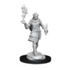 Critical Role Minis: Pallid Elf Rogue And Bard (Unpainted / WV1)