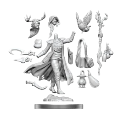 D&D Frameworks: Human Druid Female (WV1)