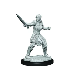 Critical Role Minis: Human Dwendalian Empire Fighter Female (Unpainted / WV1)