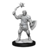 Critical Role Minis: Human Clovis Concord Cleric Male (Unpainted / WV1)
