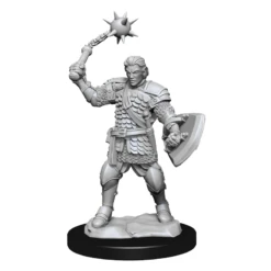 Critical Role Minis: Human Clovis Concord Cleric Male (Unpainted / WV1)