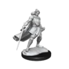 Critical Role Minis: Half-Elf Xhorhas Paladin (Unpainted / WV1)