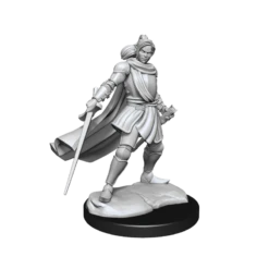 Critical Role Minis: Half-Elf Xhorhas Paladin (Unpainted / WV1)