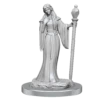 Critical Role Minis: Female Human Wizard & Female Halfling Holy Warrior (Unpainted / WV3)