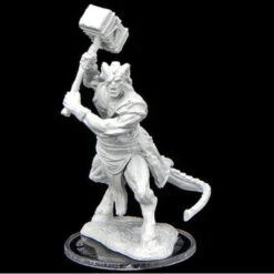 Critical Role Minis: Clasp Cutthroat & Enforcer (Unpainted / WV2)