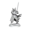 D&D Frameworks: Dragonborn Paladin Male (WV1)