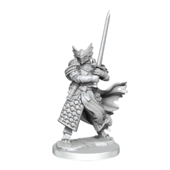D&D Frameworks: Dragonborn Paladin Male (WV1)